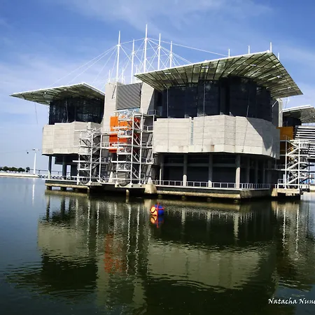 Discovery Expo - Aeroporto Gasthuis Lissabon